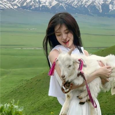 牧羊人:一只犹太狗的故事